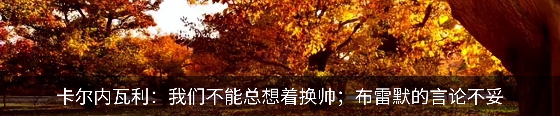 资讯动态